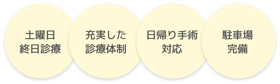 土曜日終日診療。充実した診療体制。日帰り手術対応。駐車場完備。